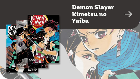 Demon Slayer Kimetsu no Yaiba | Книжарница Orange
