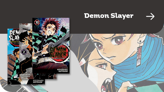 Demon Slayer Kimetsu no Yaiba | Книжарница Orange